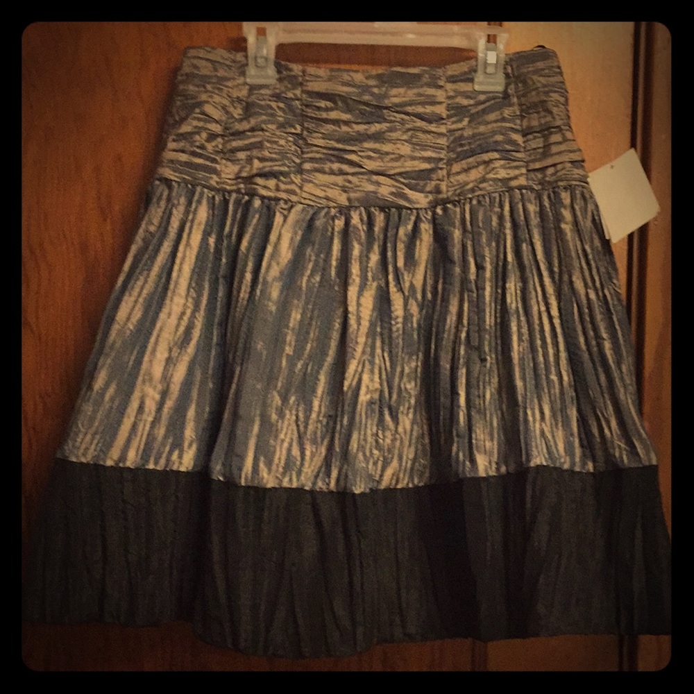New Victorian Skirt By JessicaandScottMcClintock